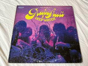 超音波洗浄済 Grapefruit/Deep Water 中古LP アナログレコード LSP-4215 グレープフルーツ Vinyl