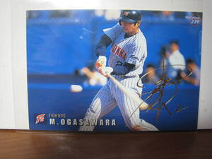 カルビー プロ野球チップス カード 1999 小笠原道大 239 金サイン