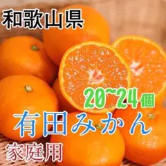 2 和歌山県 有田みかん 20~24個