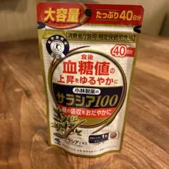 小林製薬のサラシア100  ４０日分