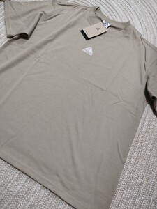 新品 未使用 NIKE ACG 刺繍 半袖 Tシャツ ベージュ 3XL ナイキ ルーズフィット アウトドア メンズ