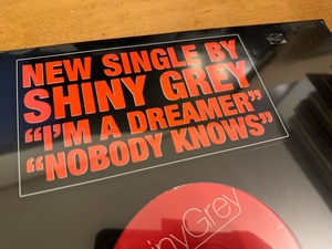 12”★ShinyGrey / I’m A Dreamer / Nobody Knows / エレクトロ・ディスコ・ハウス！未開封