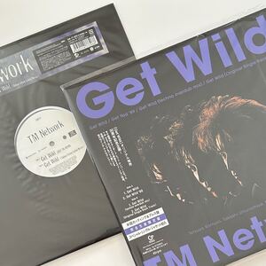 TM NETWORK セット / GET WILD 30周年記念12インチ / GET WILD 2017 TK REMIX / レコード シティーハンター 小室哲哉 電気グルーヴ B