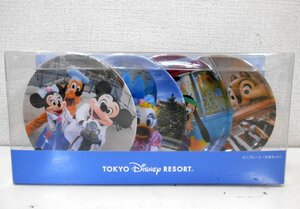 東京ディズニーリゾート ディズニー 実写 デザイン メラミン プレート ミッキー/ミニー/ドナルド/デイジー TDL TDS 35周年 【カ300】