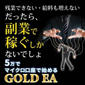 【現役SEが開発!!】利益追求型 GOLD EA FX自動売買ツール ゴールドEA MT4 XAUUSD XM口座 資産運用 完全無料 副業 投資 不労所得 g4