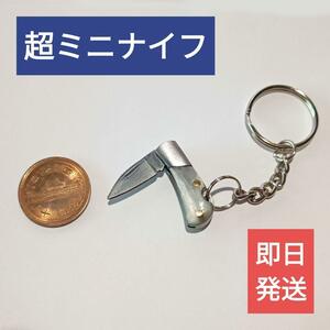 送料無料【新品】超ミニ折りたたみナイフ白色【キーホルダー】ミニナイフ アウトドア レアアイテム キーホルダー ゴールドクーポン