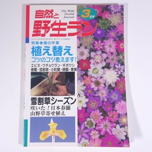 自然と野生ラン No.203 2001/3 新企画出版局 雑誌 園芸 ガーデニング 植物 蘭 ラン 特集・植え替え 雪割草 日本春蘭 ほか