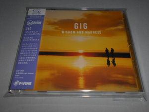 LIGHT MELLOW）GIG (グッドラム＝イニス＝ガイチ）／ウィズダム・アンド・マッドネス