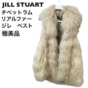 【極美品】JILl STUART ジルスチュアート　チベットラム　ファー　ジレ