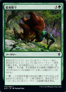 MTG ■緑/日本語版■ 《筋骨隆々/Outmuscle》エルドレインの王権 ELD 　