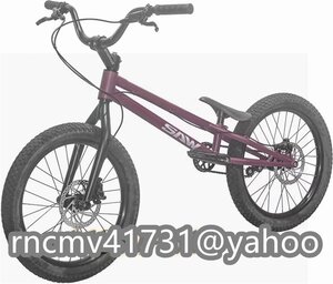 24インチ スタント用自転車 BMX 自転車 大人用 フロントおよびリアブレーキ付き Crmoフレームとフォーク パープル