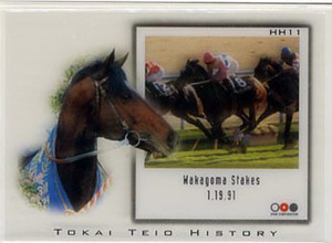 ★トウカイテイオー ＨＨ11 クリアカード 若駒ステークス 91.1.19 The Classic 1998 Road to The Winner 安田隆行 画像 競馬カード 即決