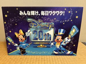 ディズニー・チャンネル 20周年オリジナル ミッキー＆ミニーぬいぐるみセット（非売品）