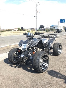 新車 ATV 　カスタム 14インチ　バギー