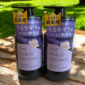 ザ パブリック オーガニック トリートメント ボトル　480mL