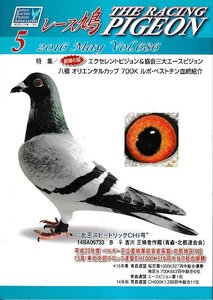 ■送料無料■Y13■レース鳩■2016年５月Vol.686■特集：銘鳩の証　エクセレントピジョン＆協会三大エースピジョン■