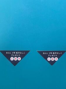 【2枚セット】　ヤングキングbull 3号　桃月なしこ　プレゼント　応募券　