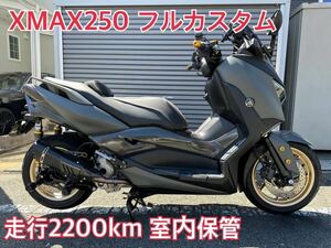 xmax250 X-MAX フルカスタム　走行2200km ずっと室内保管　新車並み　豪華装備　ヤマハ 