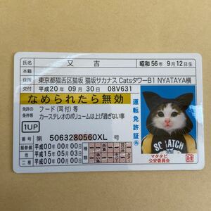 なめんなよ　カードコレクション2 又吉　免許証　ゴールド免許証仕様　エンスカイ