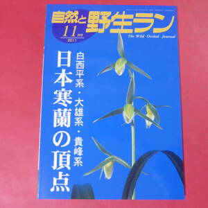 YN4-241219☆自然と野生ラン ◆ 2011年11月号　日本寒蘭　杭州寒蘭　水晶寒蘭　春蘭