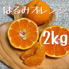 和歌山県由良町産　はるみ　2kg