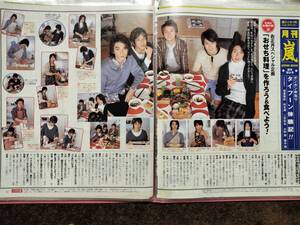 嵐の「月刊　嵐」の記事を集めたファイル（40ポケット)レンガ色