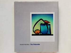 Andre Kertesz / The polaroids　アンドレ・ケルテス ポラロイド