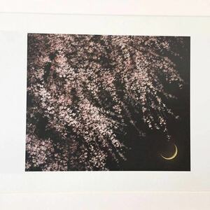 【千住博】絵柄13種展開「朧月夜」家庭画報 付録カレンダー額装 印刷物 木製額装44.1×33.8cm 絵画 日本画 絵柄違い有