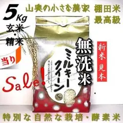 【希少】ミルキークイーン　酵素米　玄米５ｋｇ「無洗米に精米」