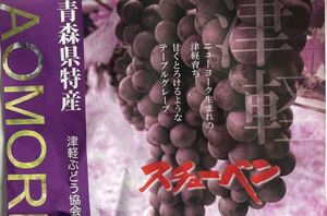 特別限定　企画　送料無料　スチューベン2キロ入り