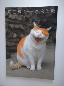 岩合光昭　ねこ輝く　写真集