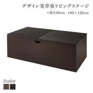 国産　収納付きデザイン美草畳リビングステージ 風凛 フーリン 畳ボックス収納 120×60cm ハイタイプ ダークブラウン セピア