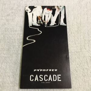 アザヤカナキセキ／CASCADE