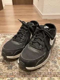 Nike Air Max 黒 スニーカー