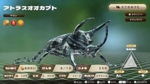 カブトクワガタ　スペシャルコード　ミリタリーアトラスオオカブト　送料