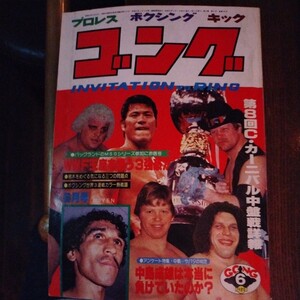 送料込み　ゴング　1980年 6月号　プロレス　ボクシング　キックボクシング　ボクシング中島vsイラリオ・サパタ　ミル・マスカラス