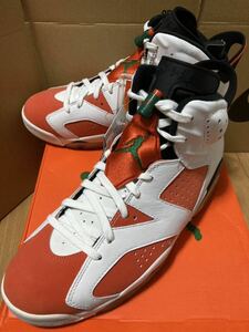 デッド NIKE AIR JORDAN 6 RETRO Gatorade Like Mike White ナイキ エア ジョーダン Ⅵ レトロ ゲータレード カーマイン CARMINE DUNK SB