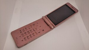 M111 docomo FOMA P-01E Panasonic パナソニック ガラケー 折り畳み式 簡易動作確認＆簡易清掃＆初期化OK 判定○ 現状品 送料無料