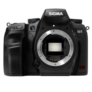 中古 １年保証 美品 SIGMA SD1 Merrill ボディ