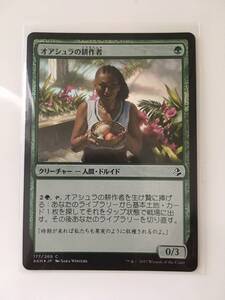 MTG　オアシュラの耕作者/Oashra Cultivator　(AKH/アモンケット,日) 1枚(Foil)