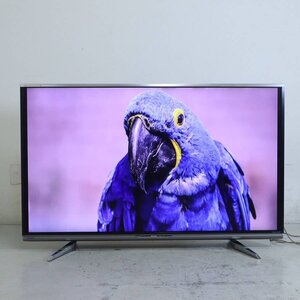 シャープ アクオス クアトロン プロ 60インチ 液晶テレビ LC-60XL10○983h01