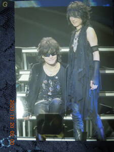 Toshl HEATH ブロマイド ⑬ / TOSHI 龍玄とし / X JAPAN 生写真