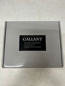 ▲GALLANT ギャラント 水割りセット GT-003A 未使用品▲