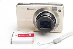 SONY CyberShot 10.1 MEGAPIXELS (良品） 12-04-06