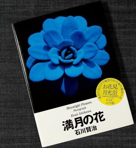 ★良品在庫1即納★月下の花 写真集『満月の花』｜石川賢治 夜に咲く花 花びら 月の光 月あかり 月光浴 幻想的 ミステリアス 自然 植物#z