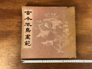 HH-5368 ■送料無料■ 古今花鳥画範 1988年 丁宝書 中国 美術 書道 書画 絵画 画集 資料 唐本 本 古本 古書 古文書 レトロ 書籍 /くJYら