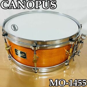 スネアドラム　ドラム　CANOPUS MO-1455 カノウプス メイプル