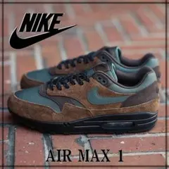 新品　完売モデル　NIKE AIR MAX 1 ナイキ エアマックス1