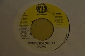 ジャマイカ7 Luciano, Michael Rose Never Grudge Another / No Easy Road VIS037 Very Important Sound /00080