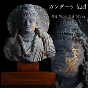 ◆雅◆ 2〜3世紀 仏教美術 仏像 ガンダーラ 仏頭 高さ34cm/5788g チベット 石仏 石像 石彫 北斉 古墳 台座付 置物 /BOA.24.11 [C88.1] OQU2